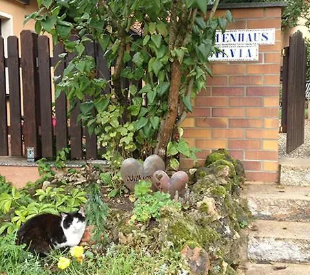 Ferienhaus Sylvia Am Waldrand *