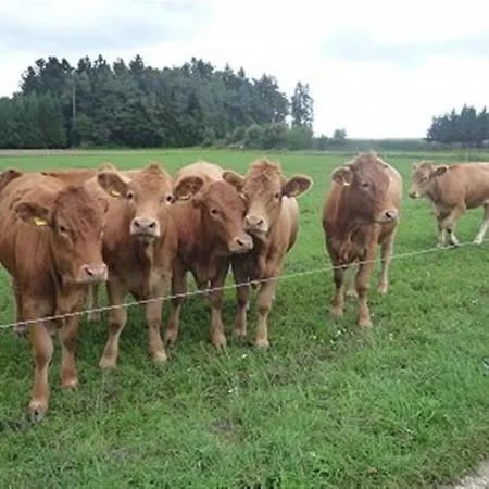 Ferienhaus Sylvia Am Waldrand Сasa de vacaciones *